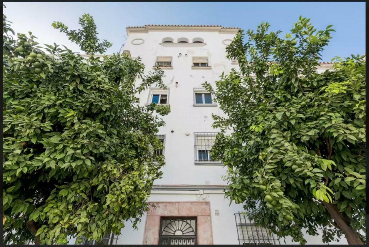 Apartamento Milagros 110 M2 Малага Екстериор снимка